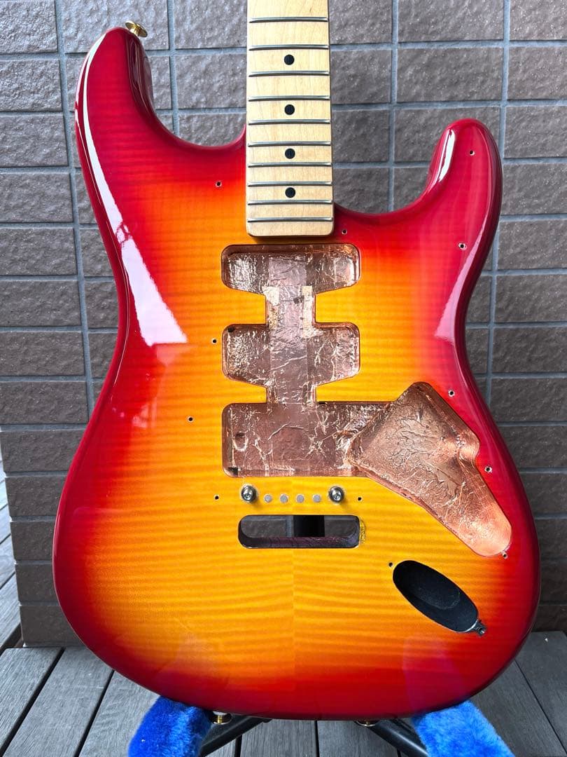 【動作◯】 シェクターネック コンポーネントギター