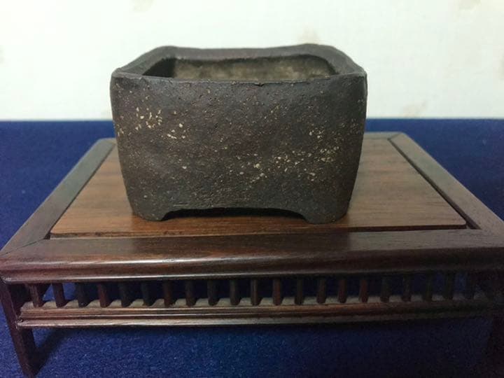 1349 盆栽　盆栽鉢　植木鉢　和鉢　梨皮正方鉢　春山