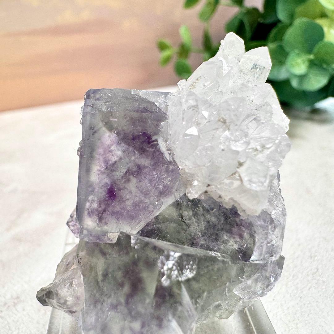 ◆【D021】フローライト 浙江省産 Bタイプ 原石 鉱物 標本