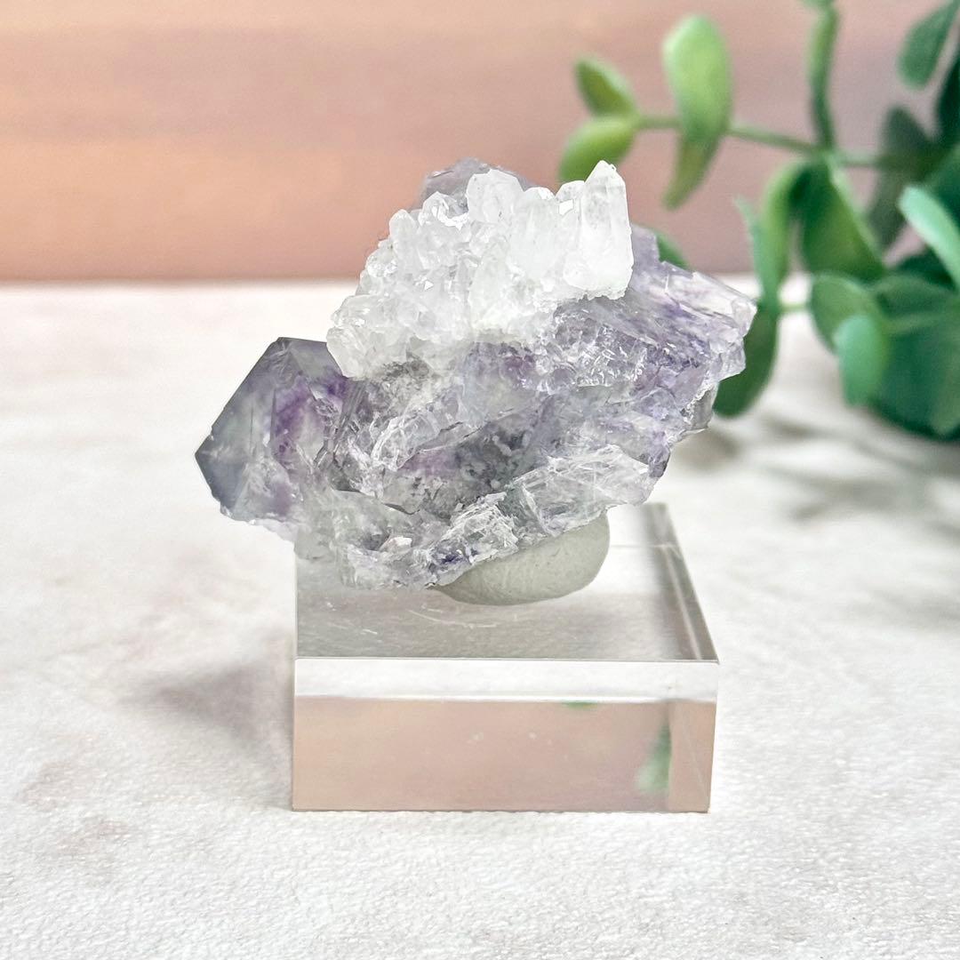 ◆【D021】フローライト 浙江省産 Bタイプ 原石 鉱物 標本