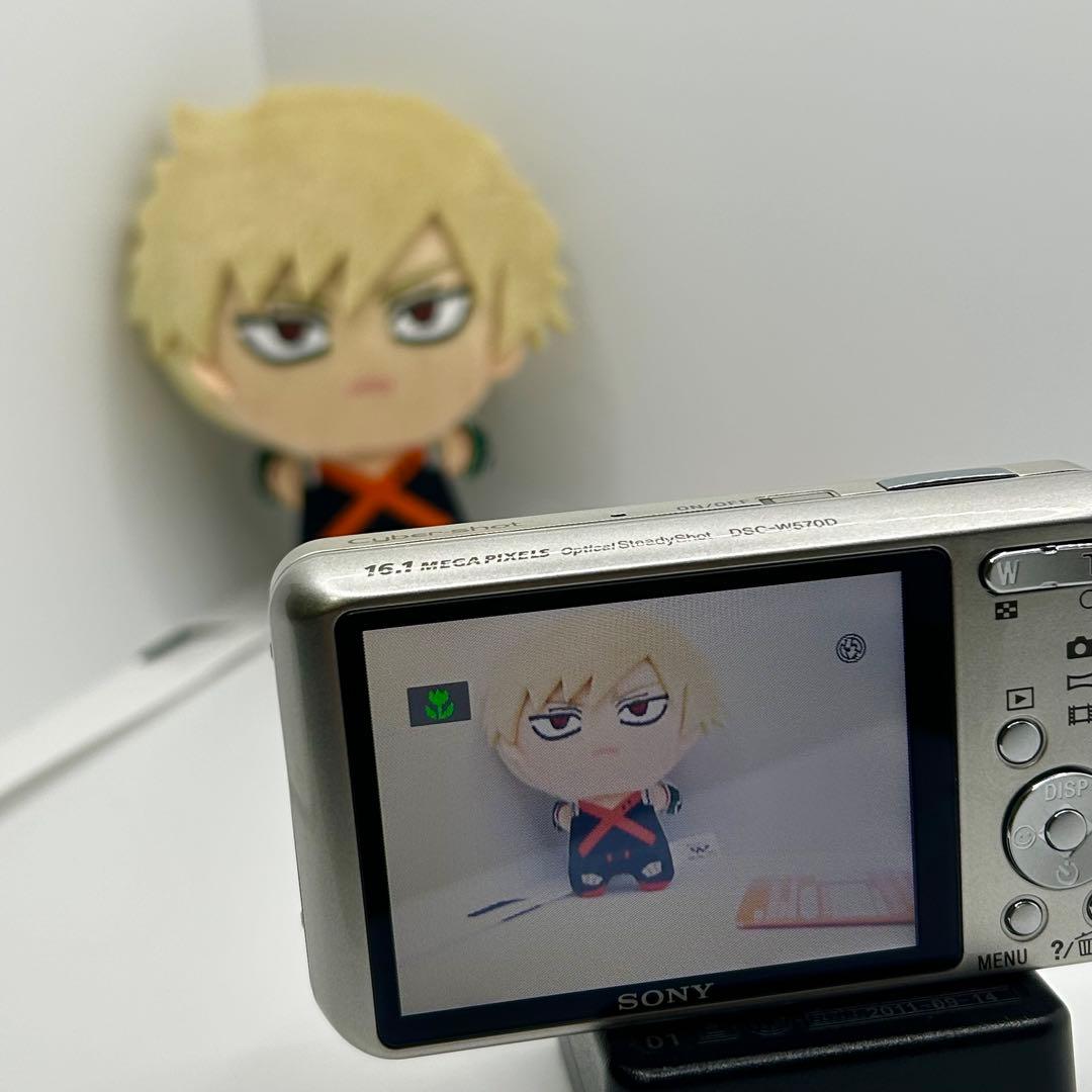 ✨希少✨美品✨SONY DSC-W570D Cyber-shot デジタルカメラ