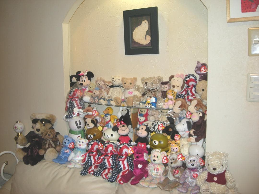 Nikon★COOLPIX S510⭐️極美品⭕️安心の実働品❤️ガンメタの輝き