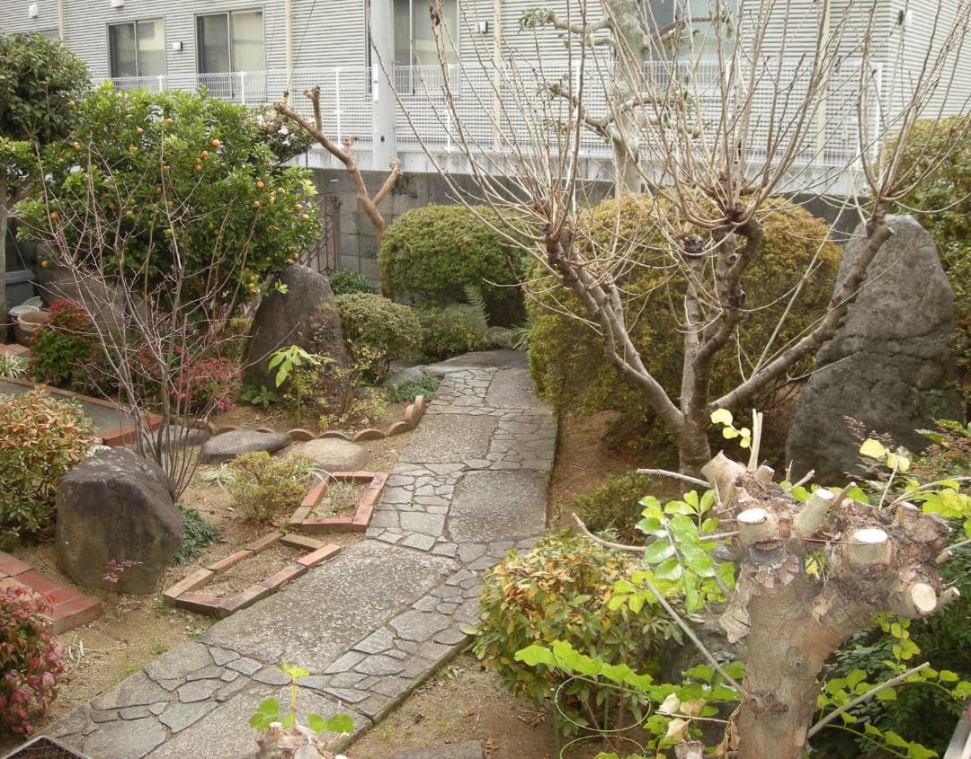 Nikon★COOLPIX S510⭐️極美品⭕️安心の実働品❤️ガンメタの輝き