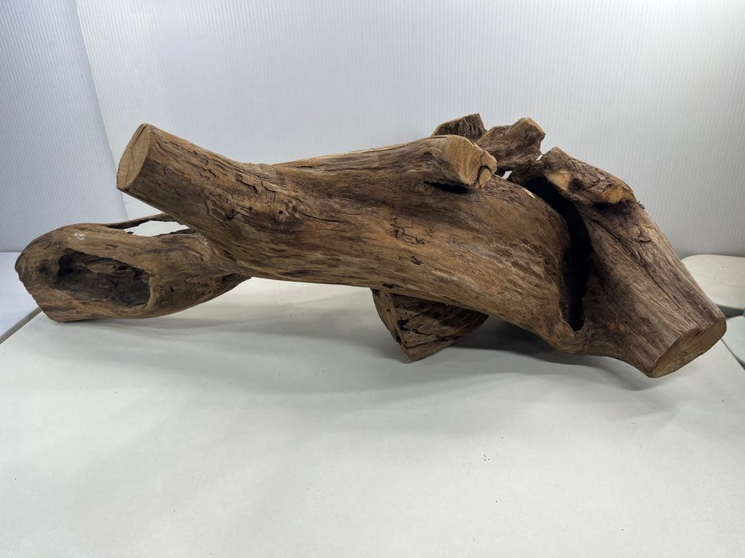 V70特大流木 アク抜き済み流木 爬虫類シェルター 登り木 インテリア 生け花