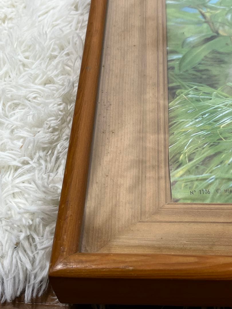 額入り61.0cm 立体壁掛け 仔猫達 （立体画）1154