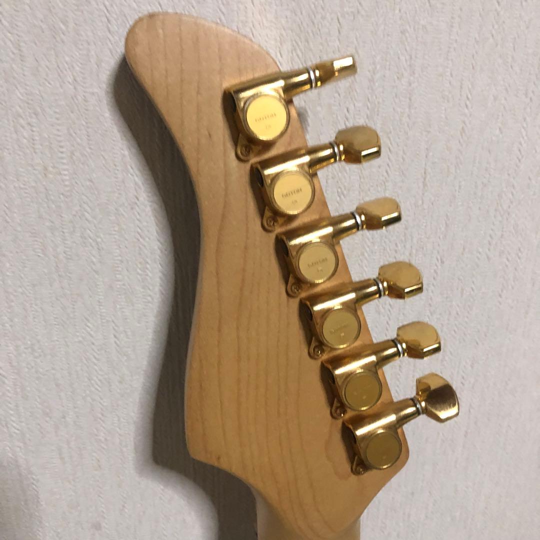 ケン　楽器　ソフトケース付き