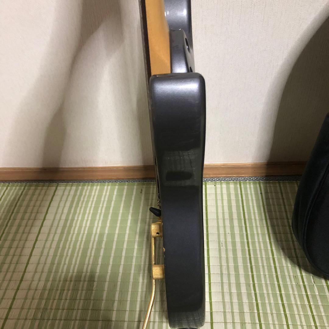 ケン　楽器　ソフトケース付き