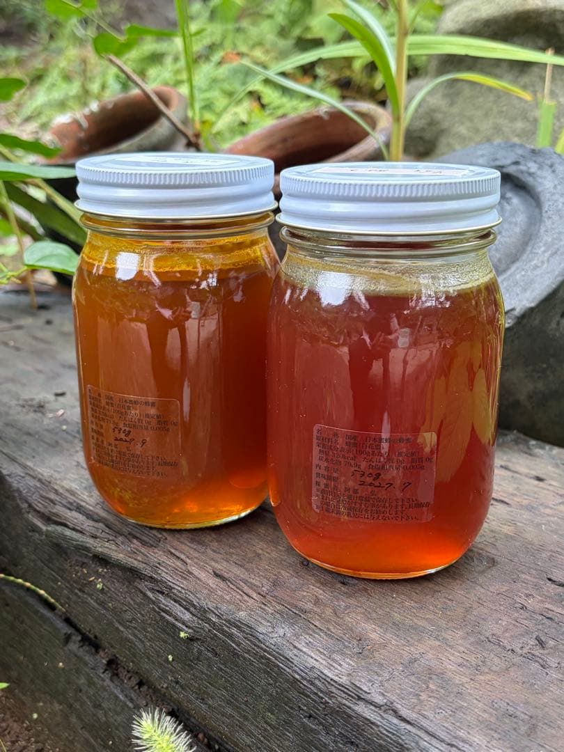 はちみつ　日本蜜蜂のハチミツ　奥山の奥の蜂蜜と花粉入りハチミツ