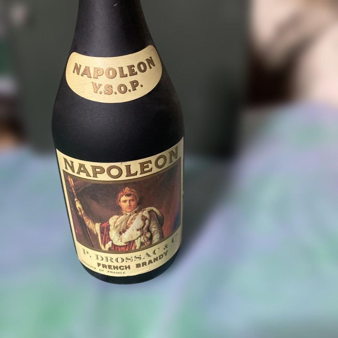 未使用NAPOLEON V.S.O.P. フレンチブランデー