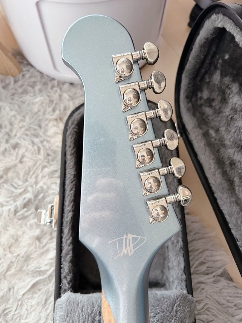 ギター Epiphone Dave Grohl DG-335
