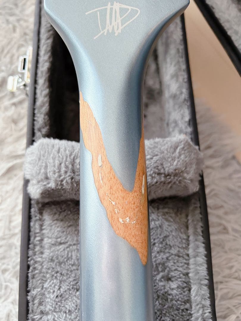 ギター Epiphone Dave Grohl DG-335