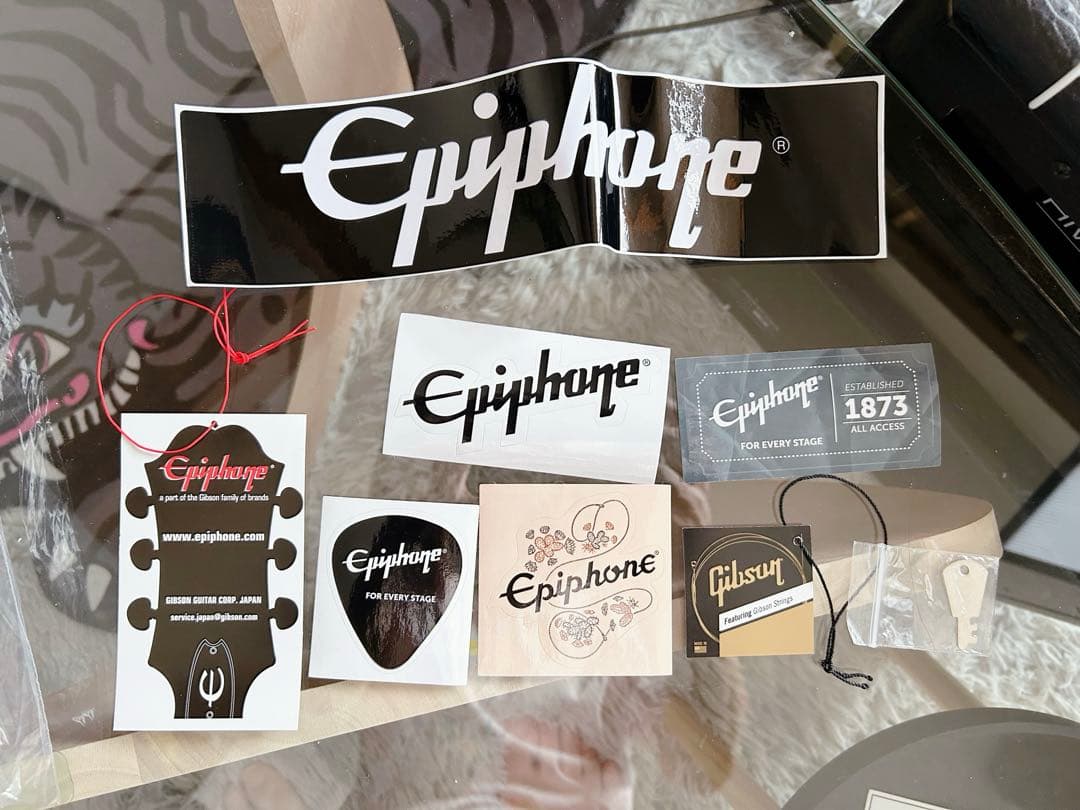 ギター Epiphone Dave Grohl DG-335