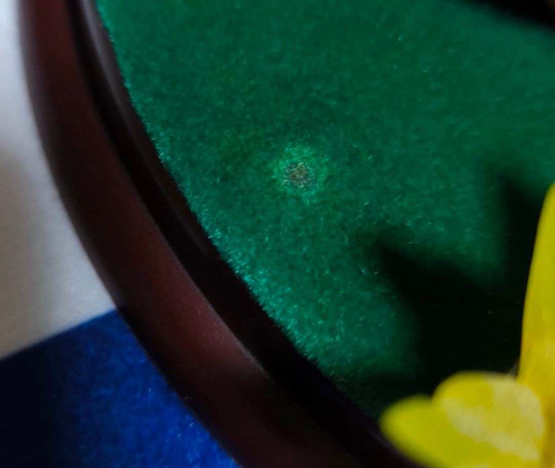 ドラゴンボールセレクション　巻一　孫悟空