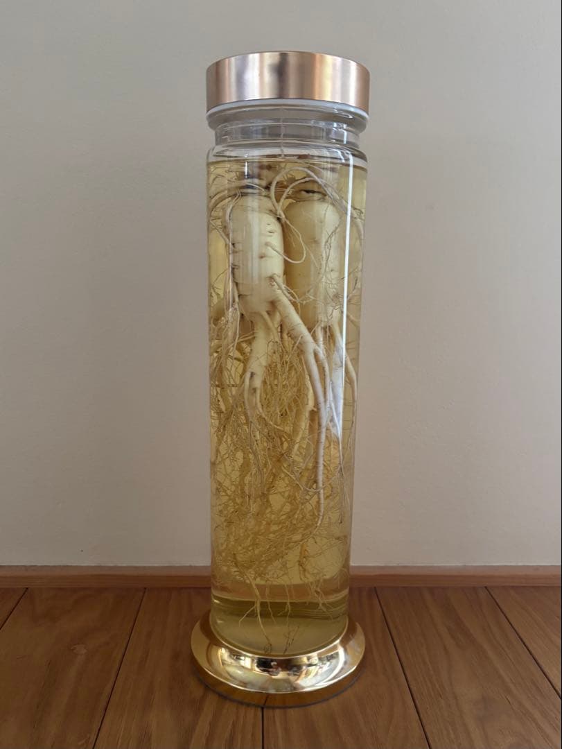 未開栓 朝鮮人参酒 古酒 健康酒 薬酒