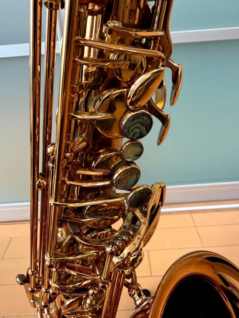 【定価42万円越え】アルトサックス　Cannonball　AScep-L