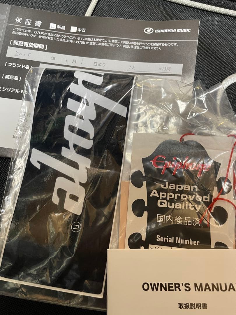 【軽量】Epiphone Les Paul Standard レスポール