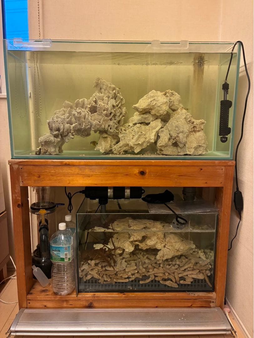 オーバーフロー水槽 kentasugii1001