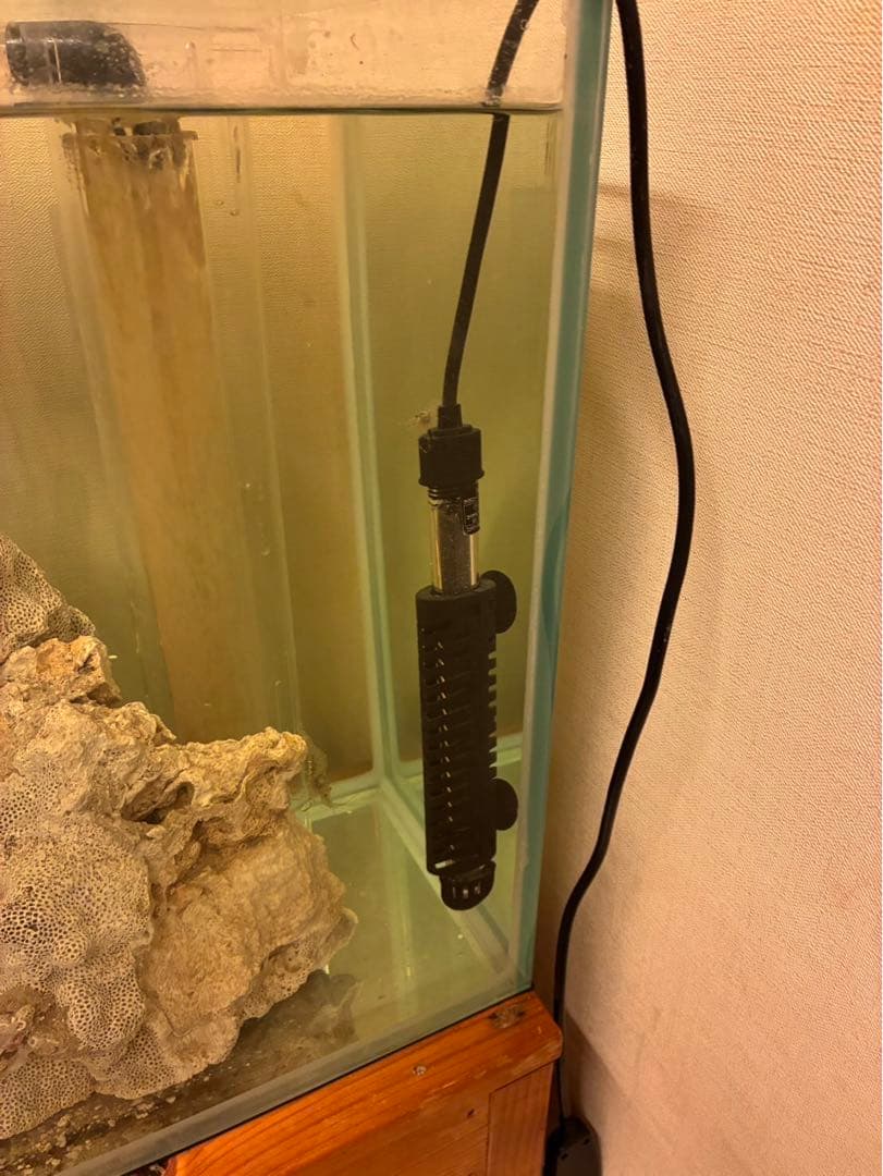 オーバーフロー水槽 kentasugii1001