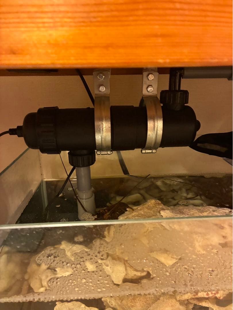 オーバーフロー水槽 kentasugii1001