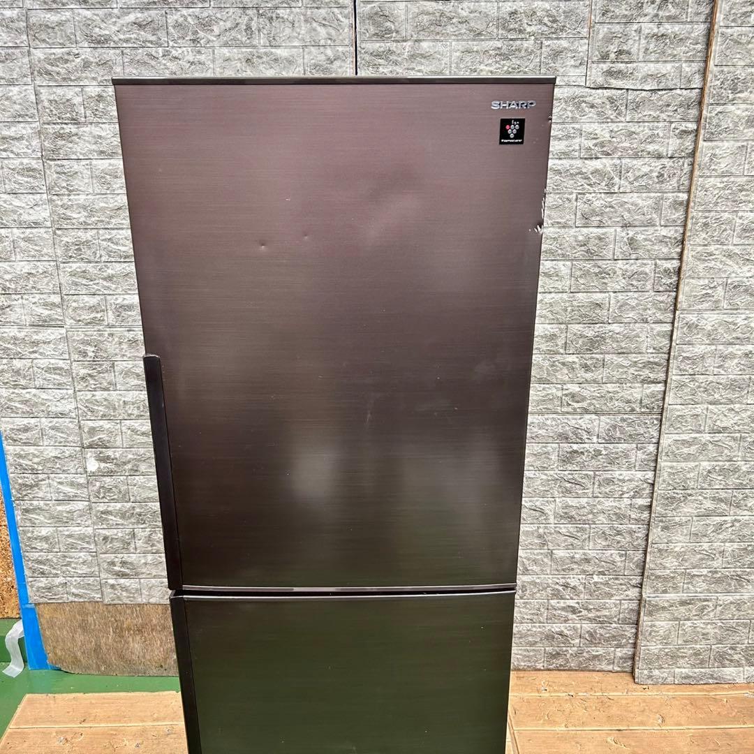 592 SHARP 冷蔵庫　大型　200L〜300L 小型　右開き　極美品　人気