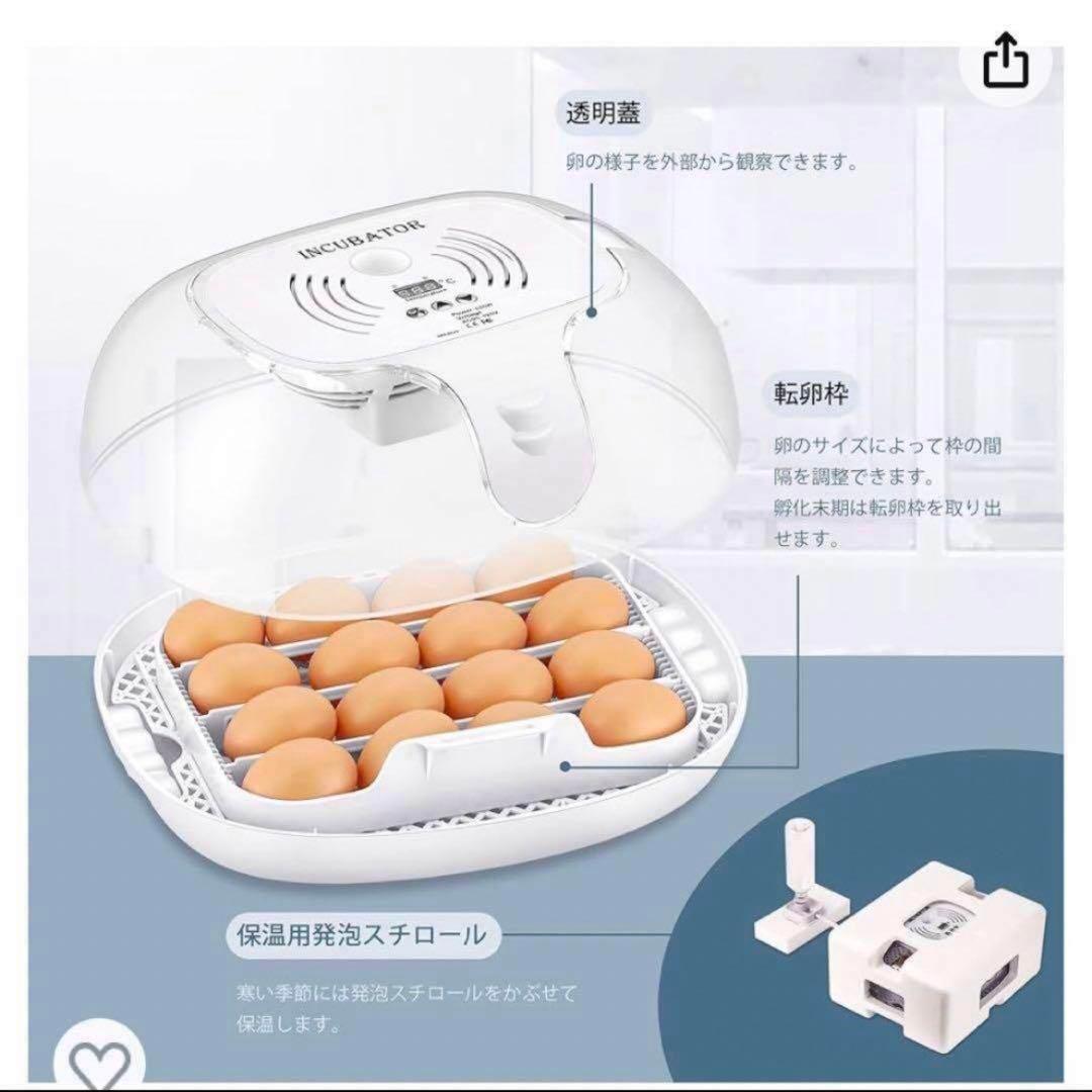 INCUBATOR自動孵卵器 透明蓋 検卵装置付き 自動転卵 ひよこ