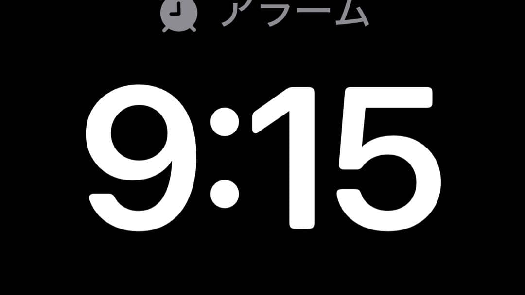 「専用ページあんなさま」「Ciaoちゅーる100本入り4個セット】