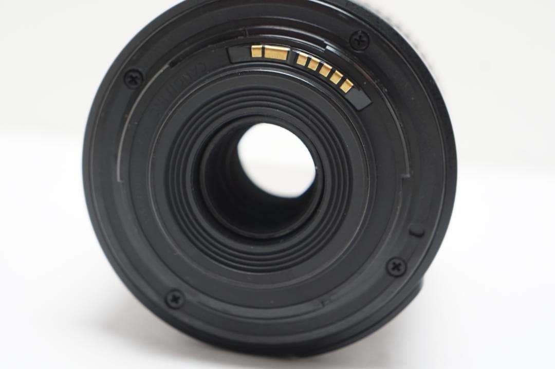 Canon EF-S 55-250mm IS Ⅱ