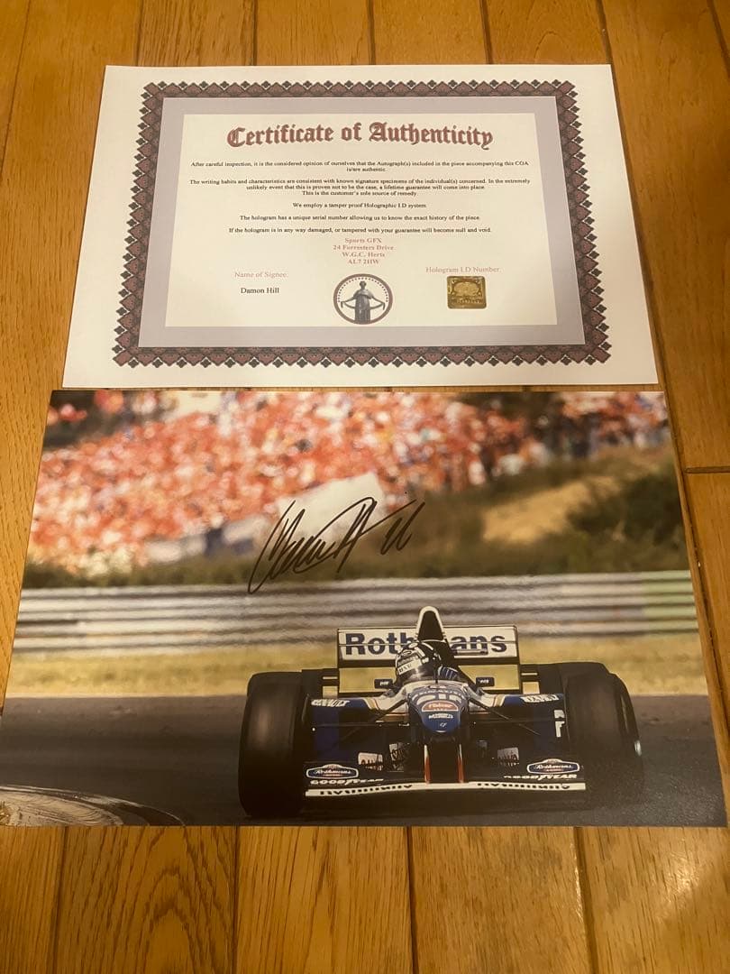 デーモン　ヒル　ウィリアムズルノー　FW17 その2