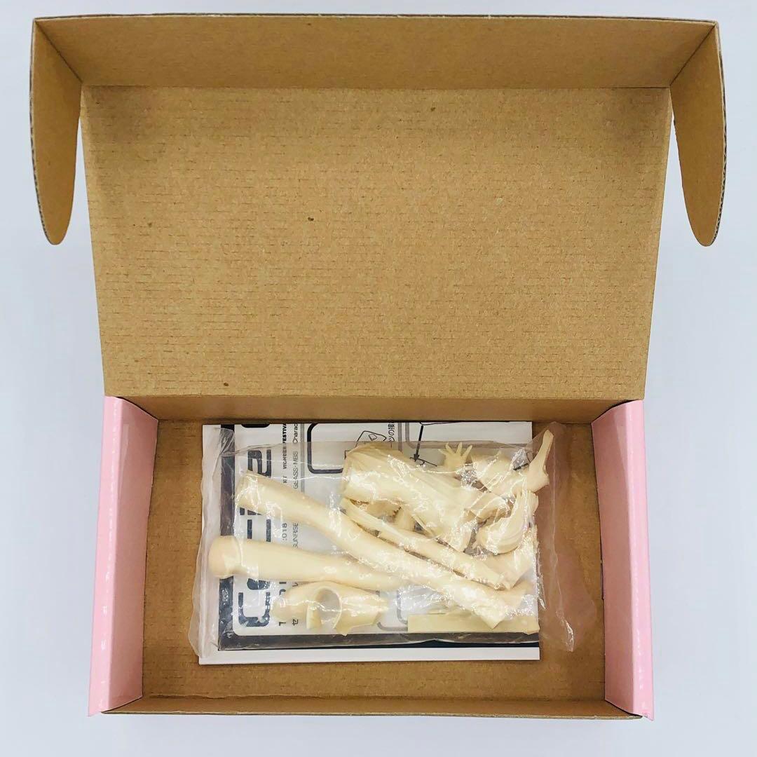 TOMO Prepa コードギアス 反逆のルルーシュ セシル ガレージキット