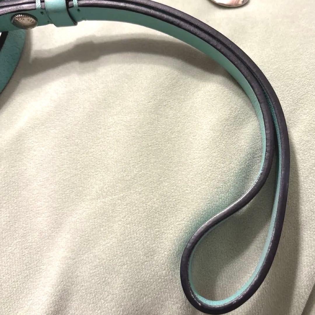 本日限定値下げ！Tiffany&Co. リード　ティファニー　ペット