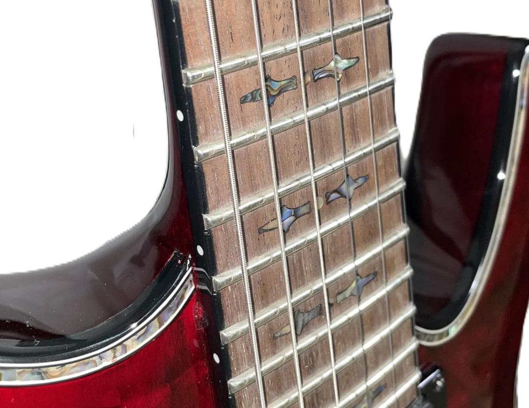 Schecter エレキギター EMG搭載 AD-C-1-FR-HR BCH