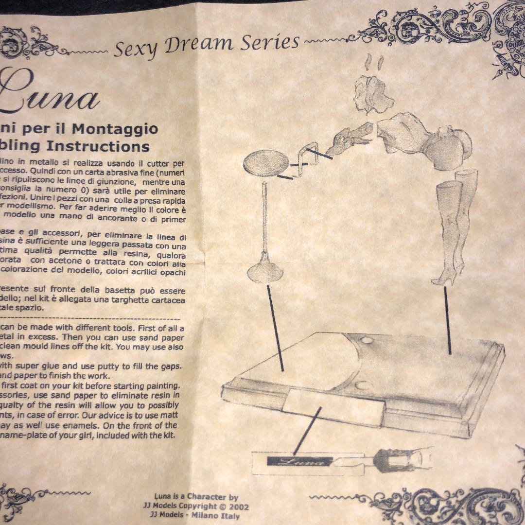 イタリアJJMODELSセクシードリームシリーズ　バニーガール　Luna