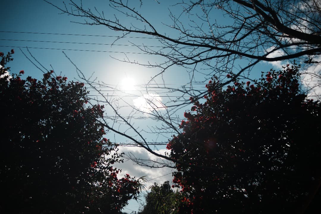 レンズ(ズーム) Carl Zeiss Vario-Sonnar 35-70mm F3.4 MMJ