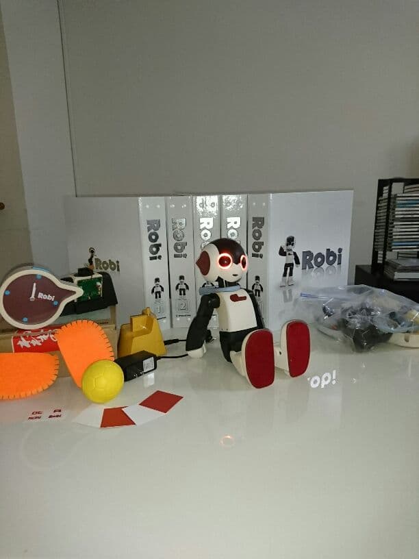 ロビ 完成品  美品【値下げしました】