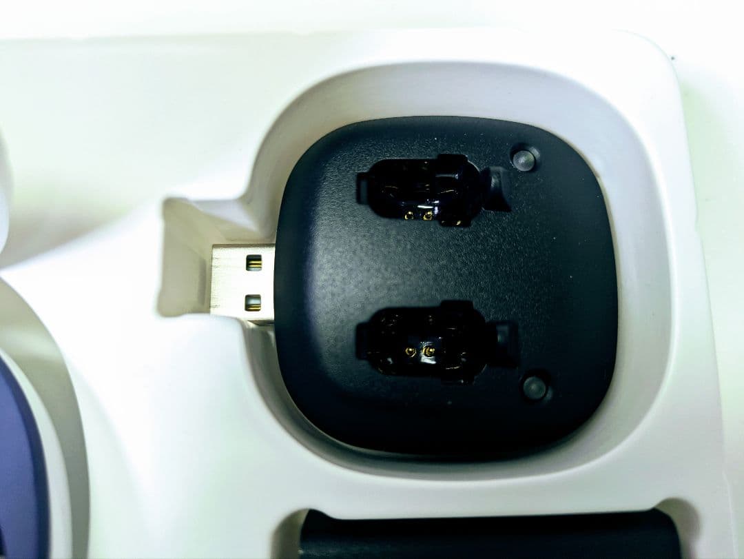 【美品】ショップジャパン 楽ちんヒアリング SK-05（耳かけ型集音器）