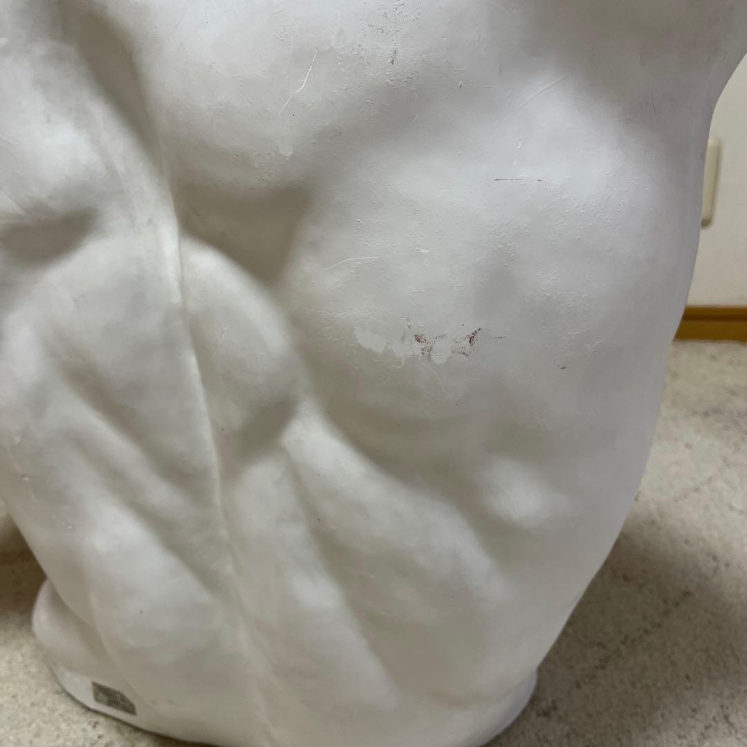 ラオコーン　石膏像　デッサン