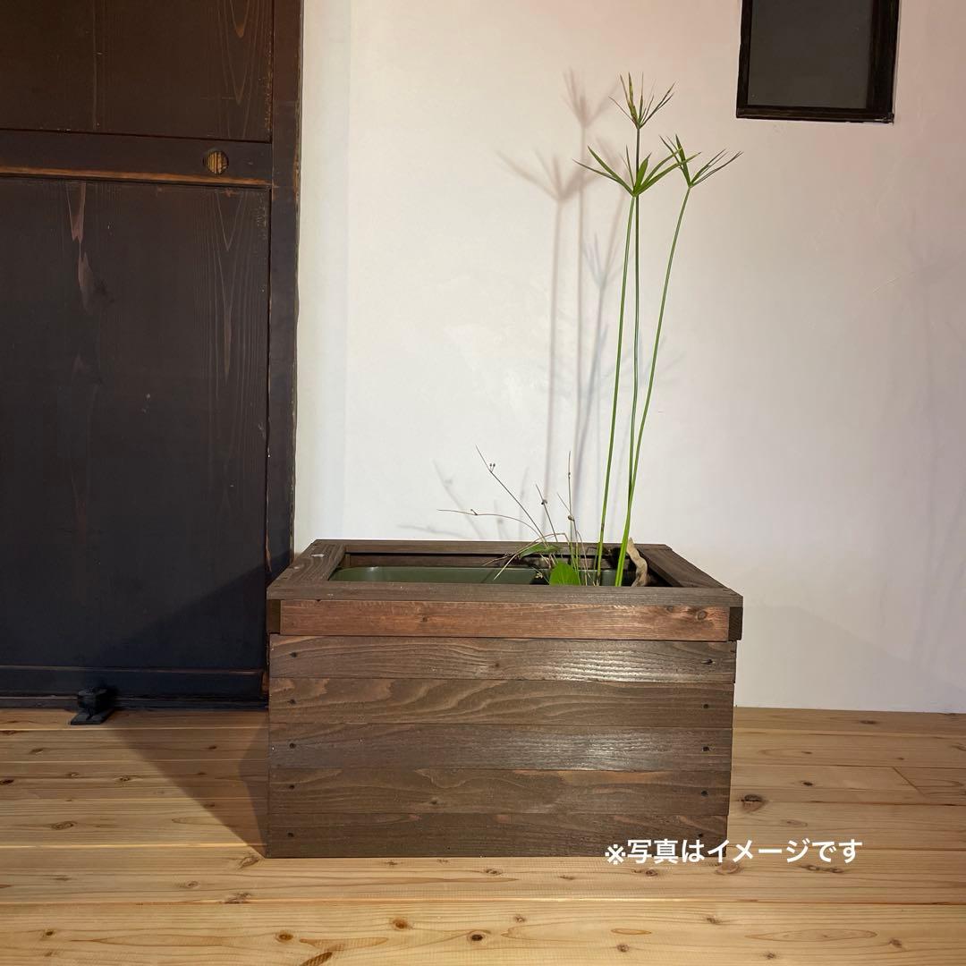 タライ 36L 木枠 低床セットメダカ 100％天然塗料 水槽 杉羽目板