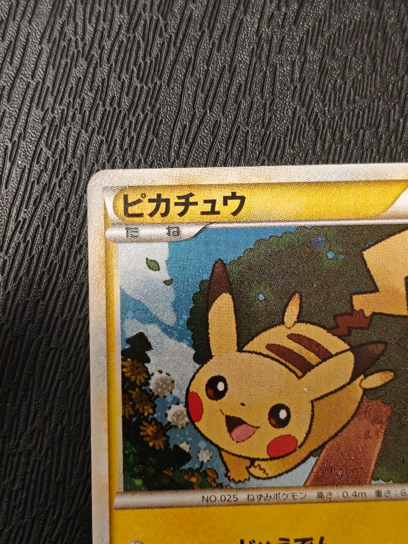 ポケモンだいすきクラブ　ゴールドランク　ピカチュウ　　じゅうでん　019/L-P
