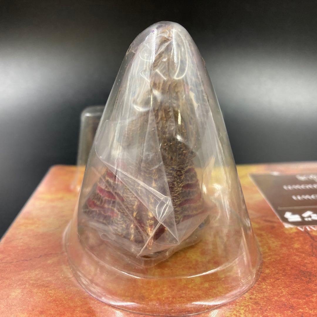 未開封 一番くじ ゴジラヘッドマグネット シン・ゴジラ 第二形態 第四形態 2点