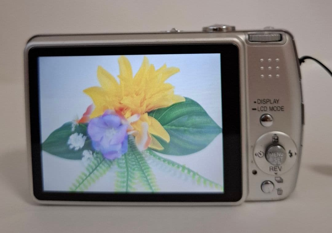 [美品] パナソニック LUMIX DMC-FX50 コンテジ