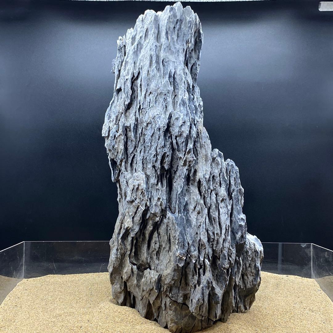 MSS-6642 特大セレクト品青龍石57cm親石　龍王石　竜王石