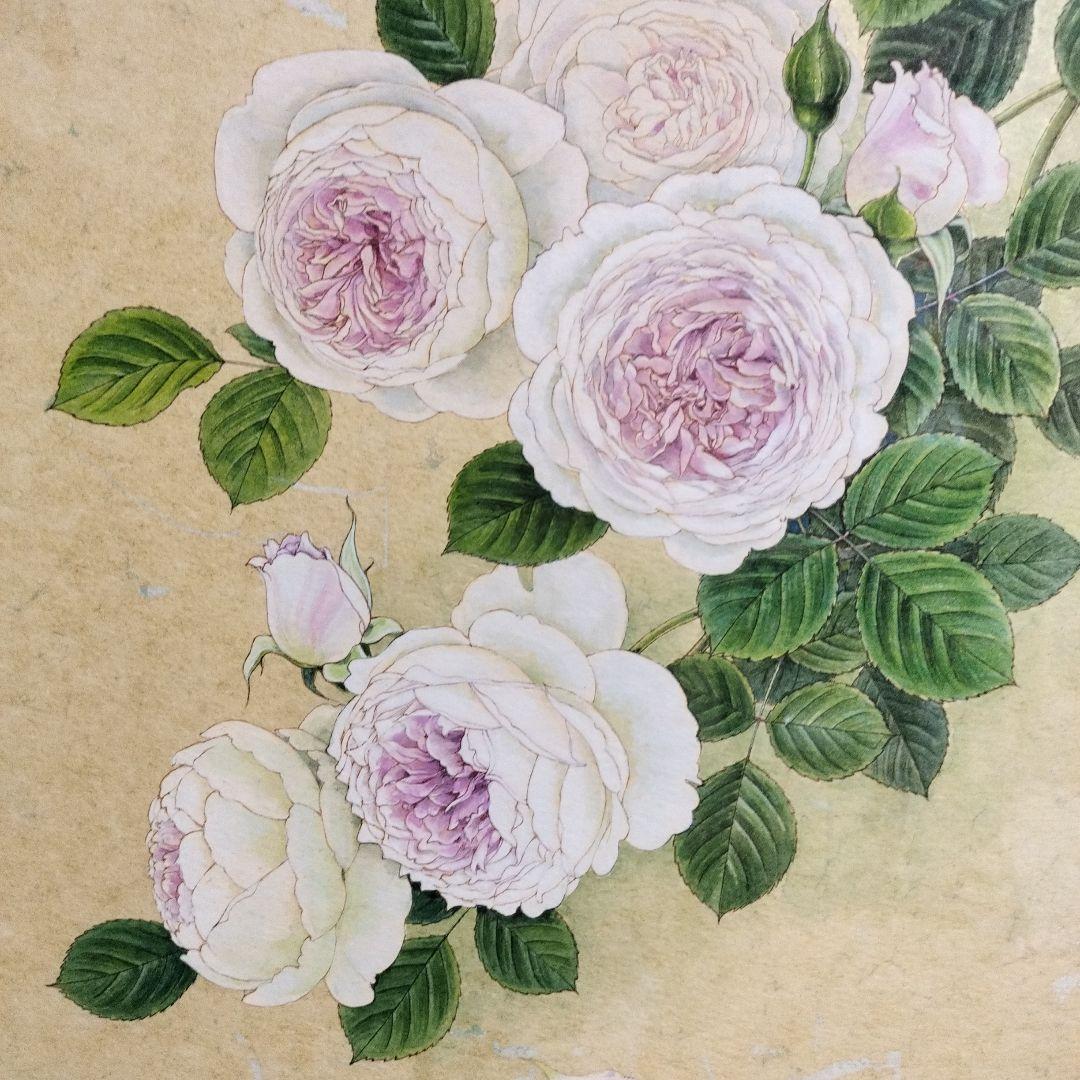 バラの水彩画　軽井沢レイクガーデン　内藤マリナ