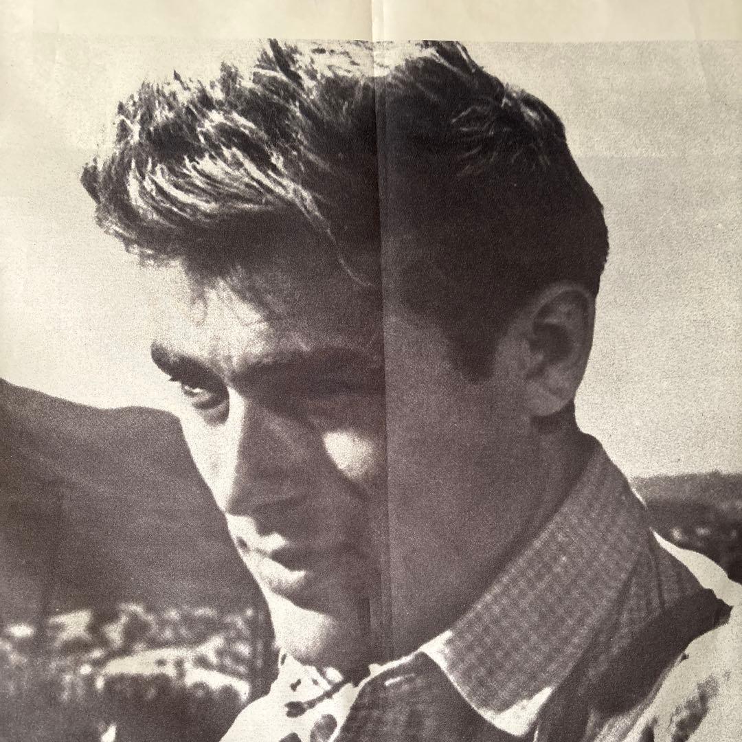 ジェームズ・ディーン　タペストリー