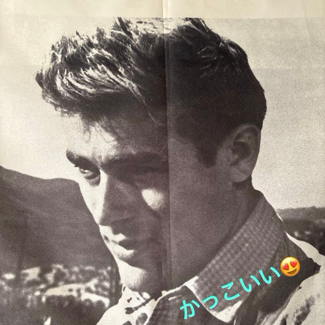 ジェームズ・ディーン　タペストリー