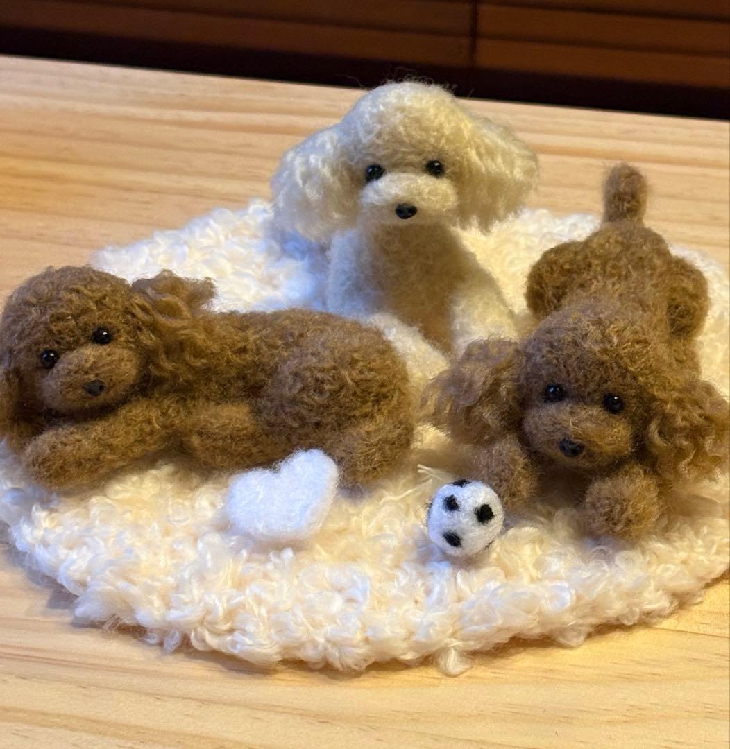 羊毛フェルト 毛糸 トイプードル（遊んだ後のリラックスタイム）❣️