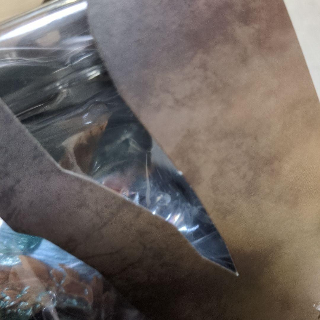 S.H.MonsterArts ジンオウガ 20周年記念版