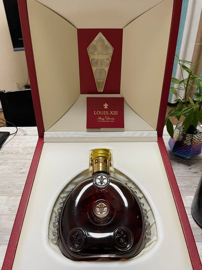 つばき　ルイ13世 シェル型化粧箱 新品 バカラ 完品