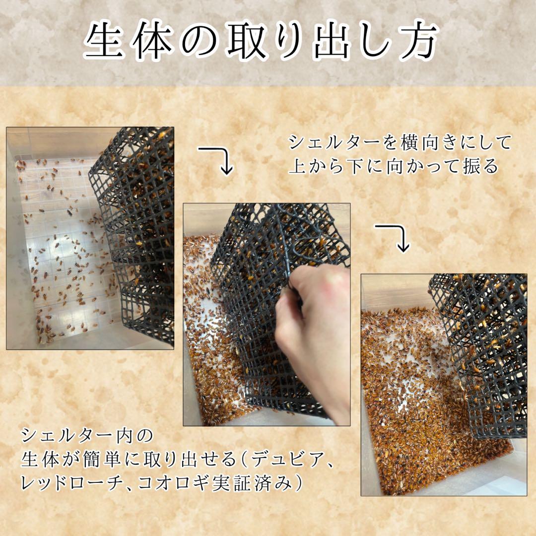 「M様　シェルター (M)×2」