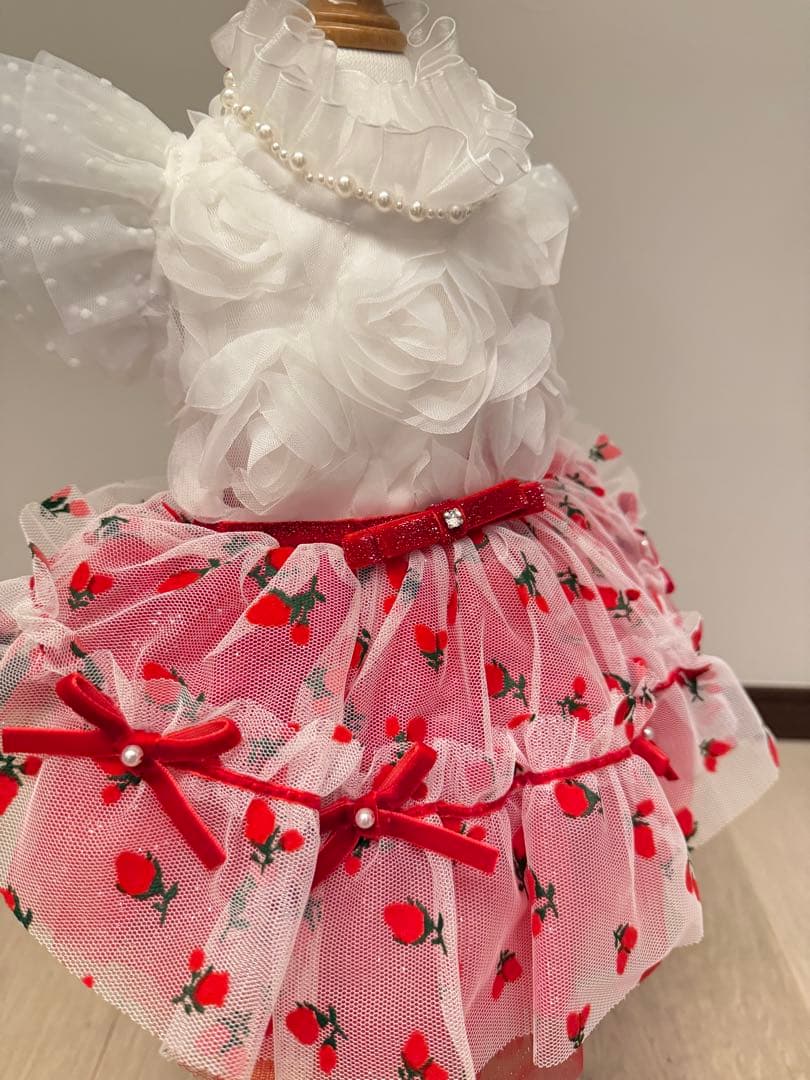 リュクスバーディLuxe birdieルージュワンピースバレッタセット犬服レッド