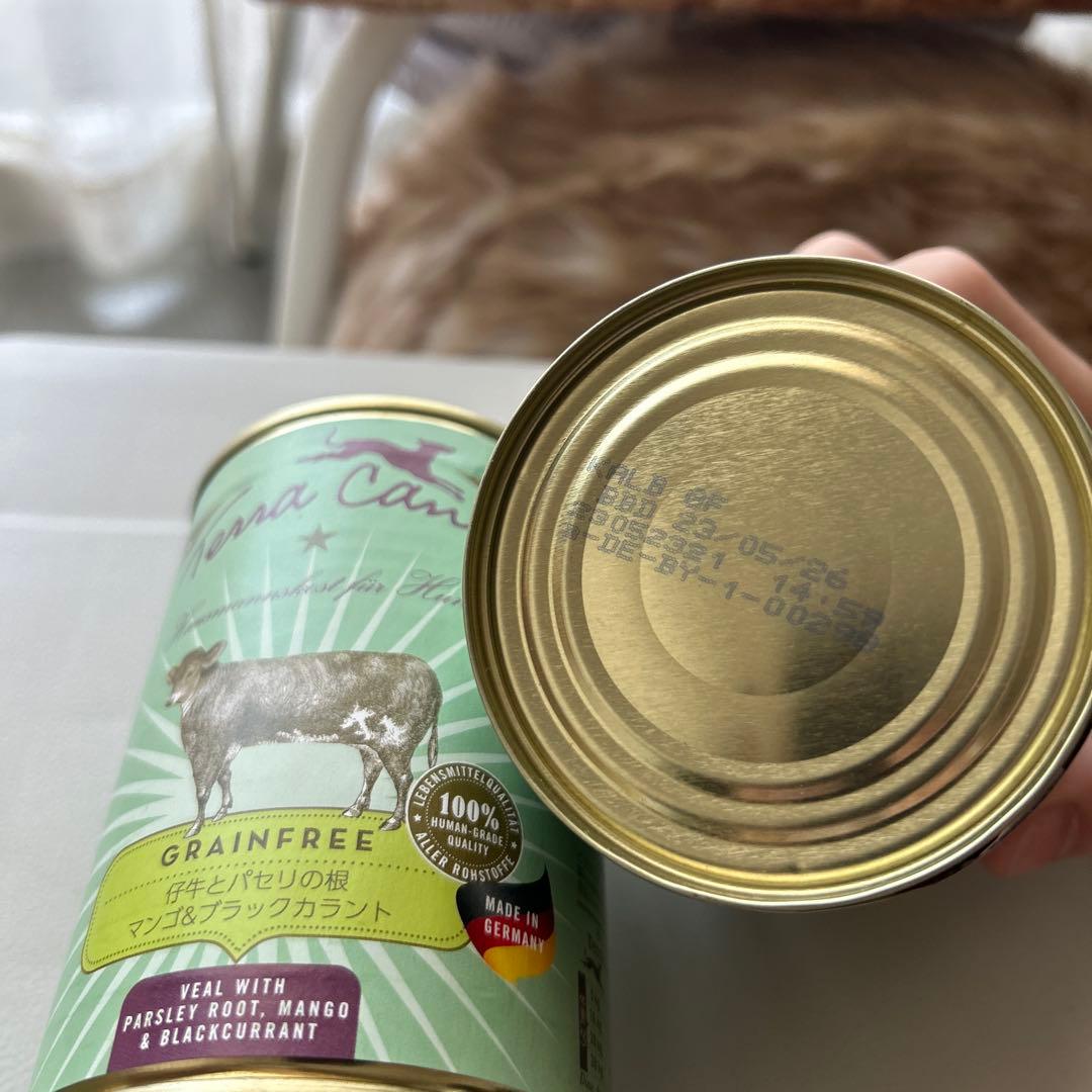 ドッグフード raisin2